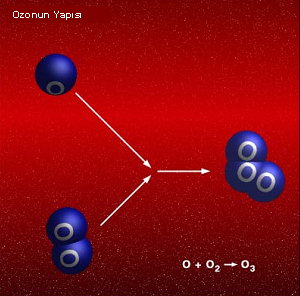 Ozon molekülünün yapısı