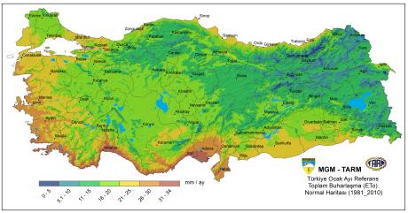 Ocak