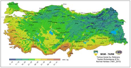 Şubat