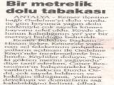 02-radikal02012004 (25 Kb)