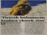 05012006ozgurgundem (127 Kb)