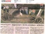 20070529milliyet (156 Kb)