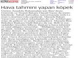 ZAMAN_20130509_11 (134 Kb)