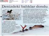 HABERTURK_20140115_14 (134 Kb)