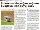 SABAH_ADANA_GUNEY_20140102_4 (269 Kb)