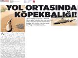 MILLIYET_20170331_3 (217 Kb)