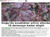 01-IĞDIRGAZETESİ_20201201_6 (242 Kb)
