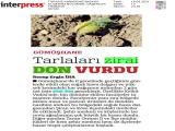 16-TÜRKİYEKARADENİZBASKISI_20210516_12_1799965890 (99 Kb)