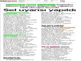 26-DİYALOG_20210726_29 (250 Kb)