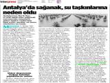 29-DENİZLİGAZETESİ_20211129_13_1812131816 (368 Kb)