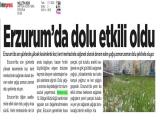 17-MİLLETİN SESİ_20240517_3_1867039395 (143 Kb)