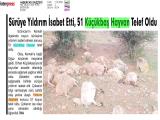 11-HABERCAN GAZETESİ_20240611_2_1868591192 (146 Kb)