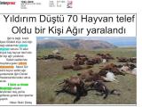 30-YEŞİL IĞDIR_20240730_3_1871473923 (161 Kb)