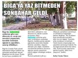 10-BİGA'NIN SESİ_20240810_5_1872152908 (204 Kb)