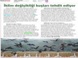 16-YENİ YAŞAM_20241016_12_1876181000 (301 Kb)