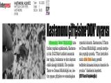 19-KASTAMONU AÇIKSÖZ_20250319_2_1900690800 (83 Kb)
