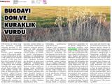 26-GÜNEY_20250326_4_1901217539 (434 Kb)