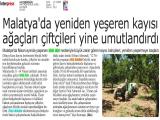 21-KAYSERİGÜN_20250521_9_1905542765 (218 Kb)
