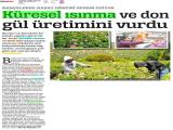 21-TÜRKİYE İZMİR BASKISI_20250521_13_1905533368 (455 Kb)