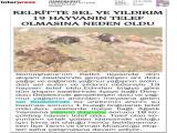 14-GÜMÜŞKENT_20250614_1_1907327282 (158 Kb)