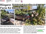 4-BİGA'NIN SESİ_20250804_3_1911098852 (268 Kb)