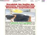 4-YENİ ÇAĞRI_20250804_1_1911125975 (107 Kb)