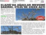 16-ELAZIĞ HAKİMİYET_20250916_6_1914298763 (111 Kb)