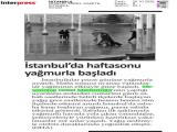 20-İSTANBUL_20251020_8_1917202286 (95 Kb)