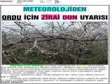 3-ORDU YENİ HABER_20260303_5_1928240347 (278 Kb)