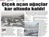 5-HABERCİ MERSİN_20260505_6_1932716377 (286 Kb)