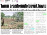 7-GAZİANTEP GÜNCEL_20260507_3_1932857113 (301 Kb)