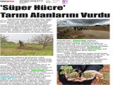 8-ADIYAMAN GÜNE BAKIŞ_20260508_7_1932955597 (302 Kb)