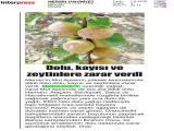 1-MERSİN HAKİMİYET_20260601_3_1934504611 (113 Kb)