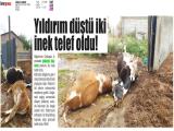 1-NİĞDE HABER_20260601_2_1934472620 (271 Kb)