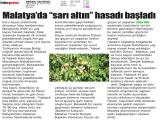 30-MERSİN HAKİMİYET_20260630_10_1936569478 (232 Kb)