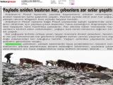 5-KARS HAKİMİYET_20260605_5_1934845593 (168 Kb)