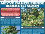 13-KAYSERİ SUNHABER_20260713_1_1937549054 (430 Kb)