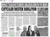 15-DEVRİM_20260715_4_1937684025 (517 Kb)